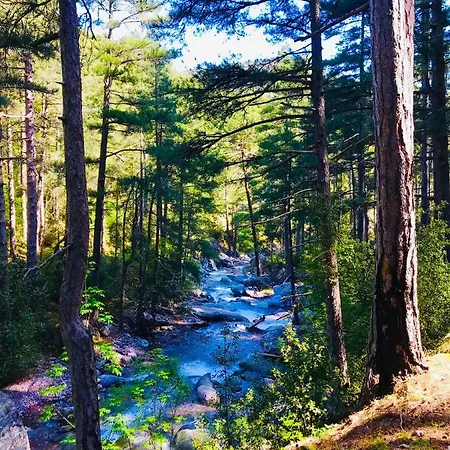 A Spelunca 2* Speloncato