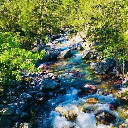 ホテル A Spelunca Speloncato