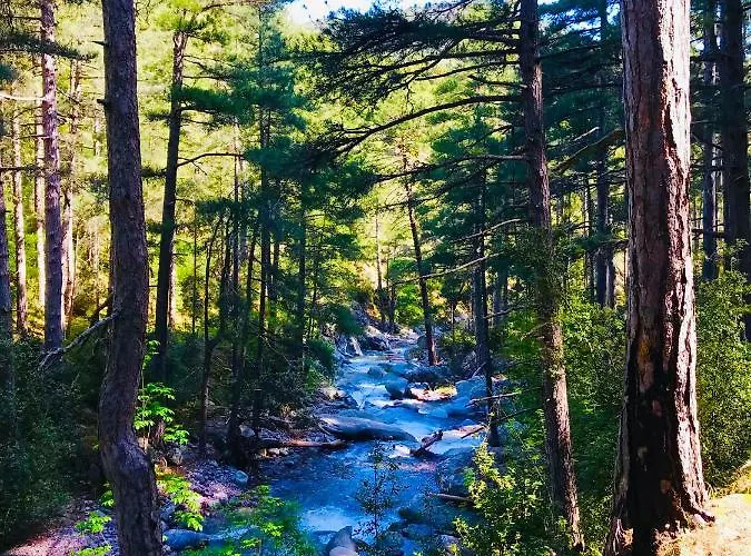 A Spelunca 2* Speloncato (Corsica)